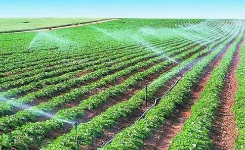 骚屄屄农田高 效节水灌溉